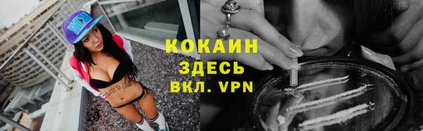сатива Белоозёрский