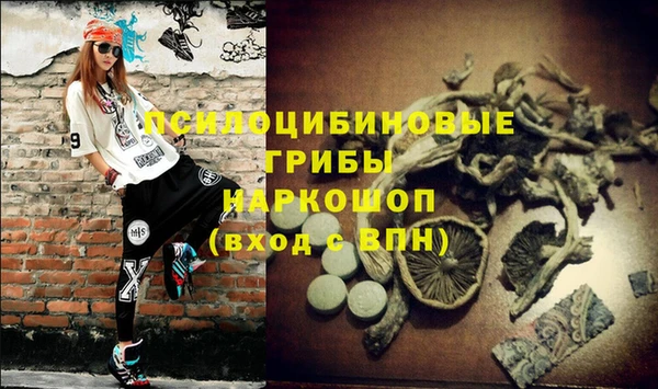 крисы Белокуриха