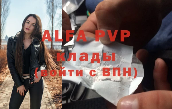 стаф Беломорск