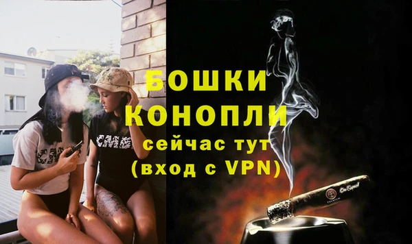 стаф Беломорск