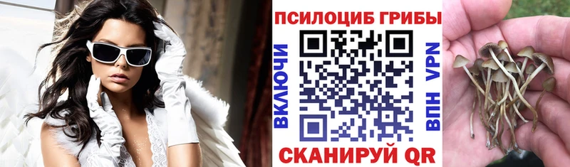 Псилоцибиновые грибы MAGIC MUSHROOMS  Вяземский 